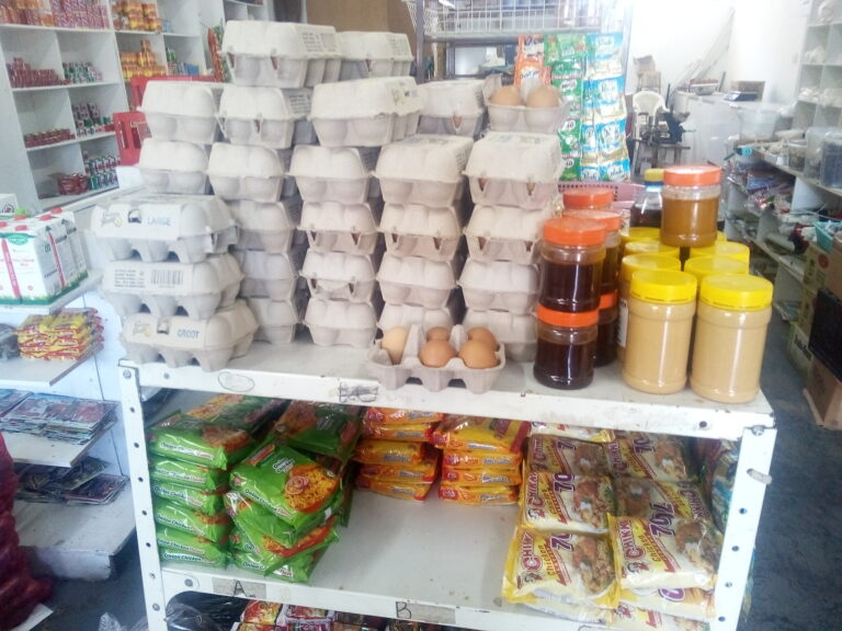 IMG 20251201 141452 768x576