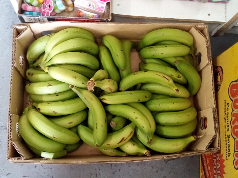 IMG 20251201 143052 768x576