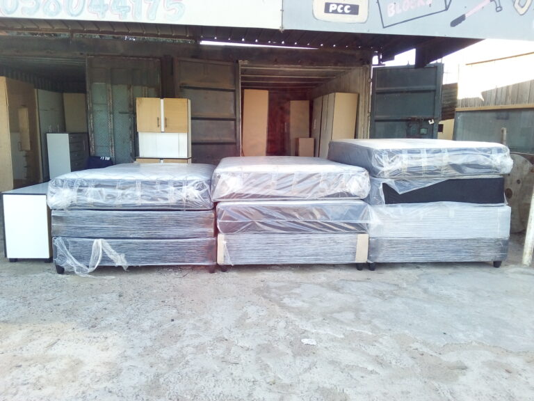 IMG 20260223 173311 768x576